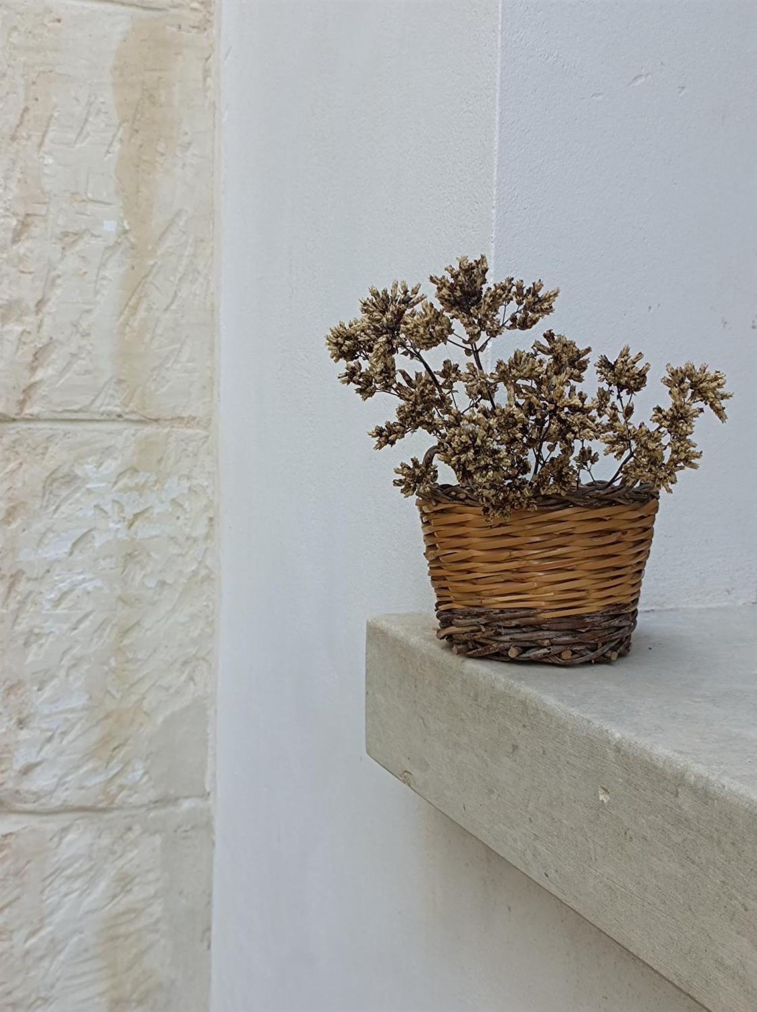 Camera Origano In Salento Martano Zewnętrze zdjęcie